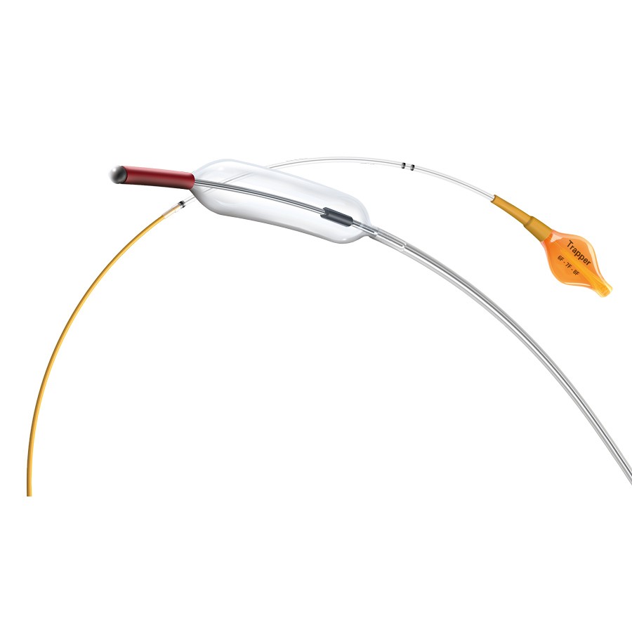 Coronary Products Boston Scientific